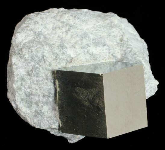 Golden Pyrite Cube In Rock - Navajun, Spain #57767